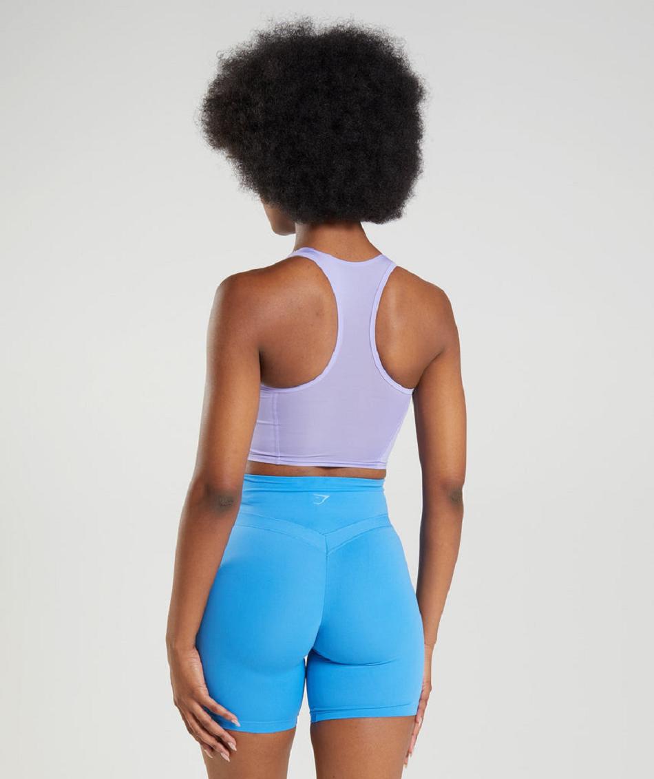 Podkoszulki Damskie Gymshark Whitney Crop Fioletowe | PL 3098HAP